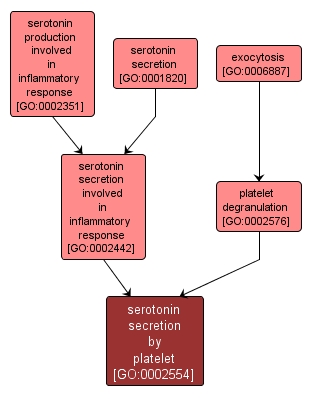 GO:0002554 - serotonin secretion by platelet (interactive image map)