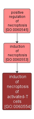 GO:0060554 - induction of necroptosis of activated-T cells (interactive image map)