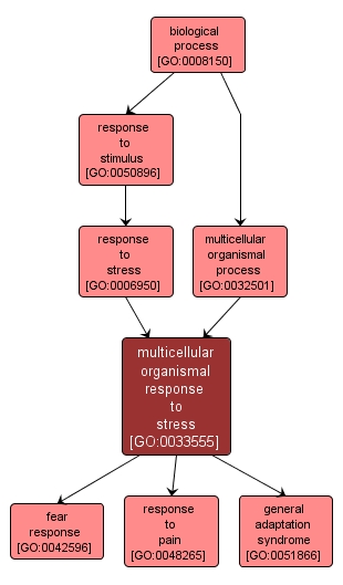 GO:0033555 - multicellular organismal response to stress (interactive image map)