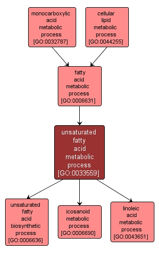 GO:0033559 - unsaturated fatty acid metabolic process (interactive image map)