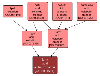 GO:0001561 - fatty acid alpha-oxidation (interactive image map)