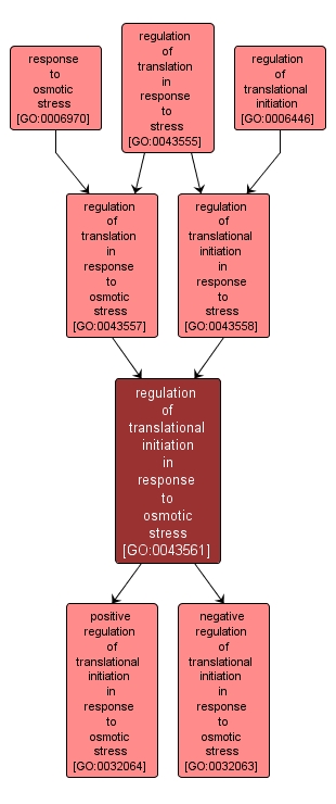 GO:0043561 - regulation of translational initiation in response to osmotic stress (interactive image map)