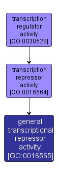 GO:0016565 - general transcriptional repressor activity (interactive image map)