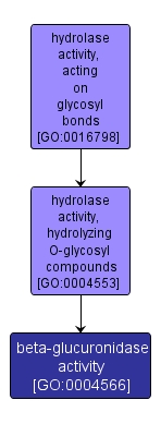 GO:0004566 - beta-glucuronidase activity (interactive image map)