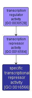 GO:0016566 - specific transcriptional repressor activity (interactive image map)