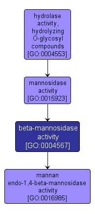 GO:0004567 - beta-mannosidase activity (interactive image map)