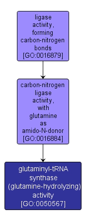 GO:0050567 - glutaminyl-tRNA synthase (glutamine-hydrolyzing) activity (interactive image map)