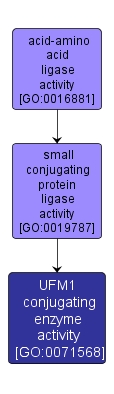GO:0071568 - UFM1 conjugating enzyme activity (interactive image map)
