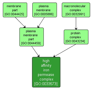 GO:0033573 - high affinity iron permease complex (interactive image map)