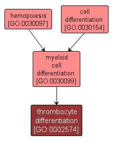 GO:0002574 - thrombocyte differentiation (interactive image map)