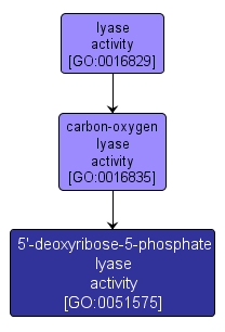 GO:0051575 - 5'-deoxyribose-5-phosphate lyase activity (interactive image map)