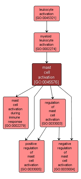 GO:0045576 - mast cell activation (interactive image map)