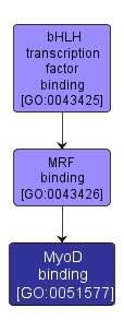 GO:0051577 - MyoD binding (interactive image map)
