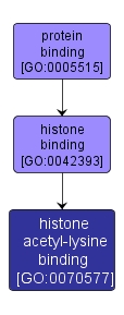 GO:0070577 - histone acetyl-lysine binding (interactive image map)