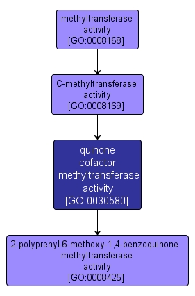 GO:0030580 - quinone cofactor methyltransferase activity (interactive image map)