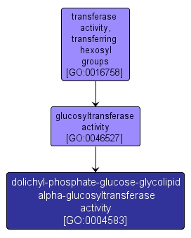 GO:0004583 - dolichyl-phosphate-glucose-glycolipid alpha-glucosyltransferase activity (interactive image map)