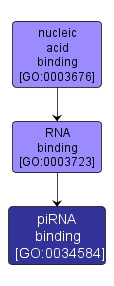 GO:0034584 - piRNA binding (interactive image map)