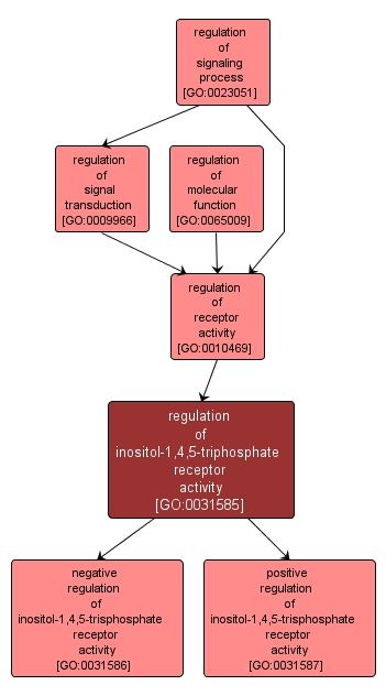 GO:0031585 - regulation of inositol-1,4,5-triphosphate receptor activity (interactive image map)
