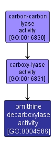 GO:0004586 - ornithine decarboxylase activity (interactive image map)