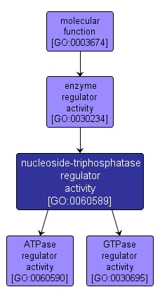 GO:0060589 - nucleoside-triphosphatase regulator activity (interactive image map)