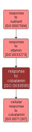 GO:0033590 - response to cobalamin (interactive image map)