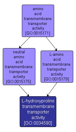 GO:0034590 - L-hydroxyproline transmembrane transporter activity (interactive image map)