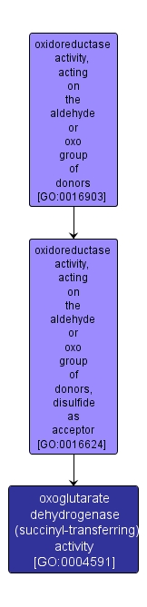 GO:0004591 - oxoglutarate dehydrogenase (succinyl-transferring) activity (interactive image map)