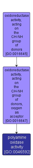 GO:0046592 - polyamine oxidase activity (interactive image map)