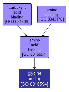 GO:0016594 - glycine binding (interactive image map)