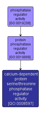 GO:0008597 - calcium-dependent protein serine/threonine phosphatase regulator activity (interactive image map)