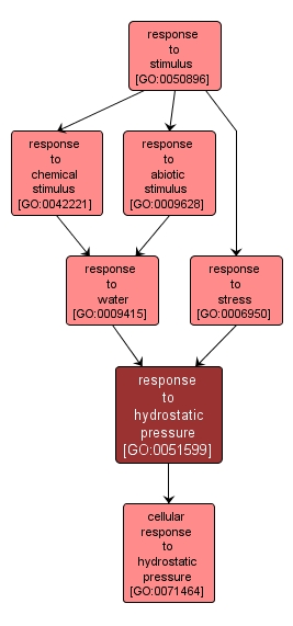 GO:0051599 - response to hydrostatic pressure (interactive image map)