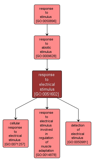 GO:0051602 - response to electrical stimulus (interactive image map)