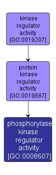 GO:0008607 - phosphorylase kinase regulator activity (interactive image map)