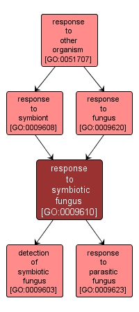 GO:0009610 - response to symbiotic fungus (interactive image map)