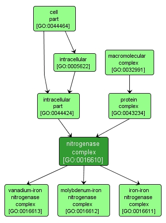 GO:0016610 - nitrogenase complex (interactive image map)