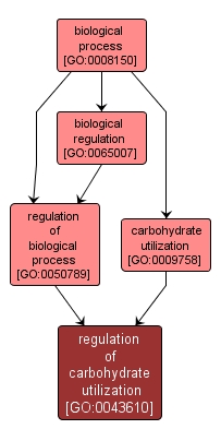 GO:0043610 - regulation of carbohydrate utilization (interactive image map)