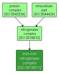 GO:0016611 - iron-iron nitrogenase complex (interactive image map)