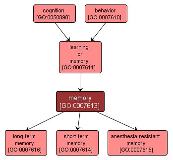 GO:0007613 - memory (interactive image map)