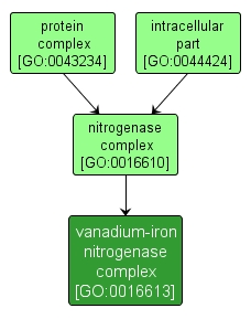 GO:0016613 - vanadium-iron nitrogenase complex (interactive image map)