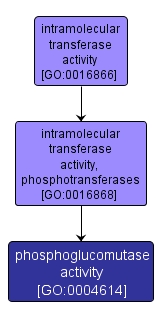 GO:0004614 - phosphoglucomutase activity (interactive image map)