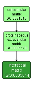GO:0005614 - interstitial matrix (interactive image map)