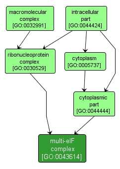 GO:0043614 - multi-eIF complex (interactive image map)