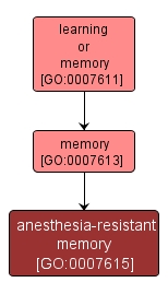 GO:0007615 - anesthesia-resistant memory (interactive image map)
