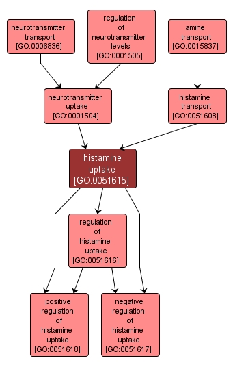 GO:0051615 - histamine uptake (interactive image map)