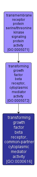 GO:0030616 - transforming growth factor beta receptor, common-partner cytoplasmic mediator activity (interactive image map)