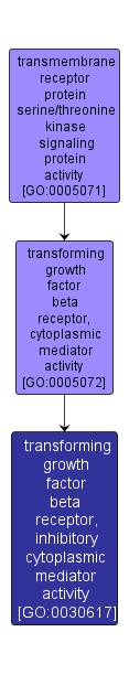 GO:0030617 - transforming growth factor beta receptor, inhibitory cytoplasmic mediator activity (interactive image map)