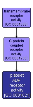 GO:0001621 - platelet ADP receptor activity (interactive image map)