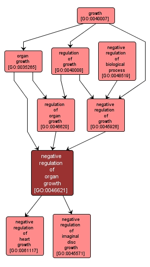 GO:0046621 - negative regulation of organ growth (interactive image map)
