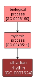 GO:0007624 - ultradian rhythm (interactive image map)