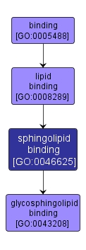 GO:0046625 - sphingolipid binding (interactive image map)